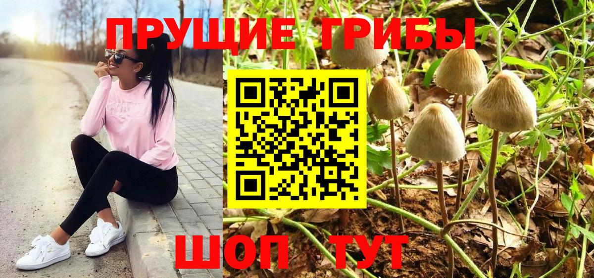 Псилоцибиновые грибы ЛСД  Псилоцибиновые грибы ЛСД  Вход с VPN  Стрежевой 