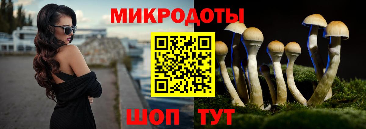Псилоцибиновые грибы Magic Shrooms Стрежевой